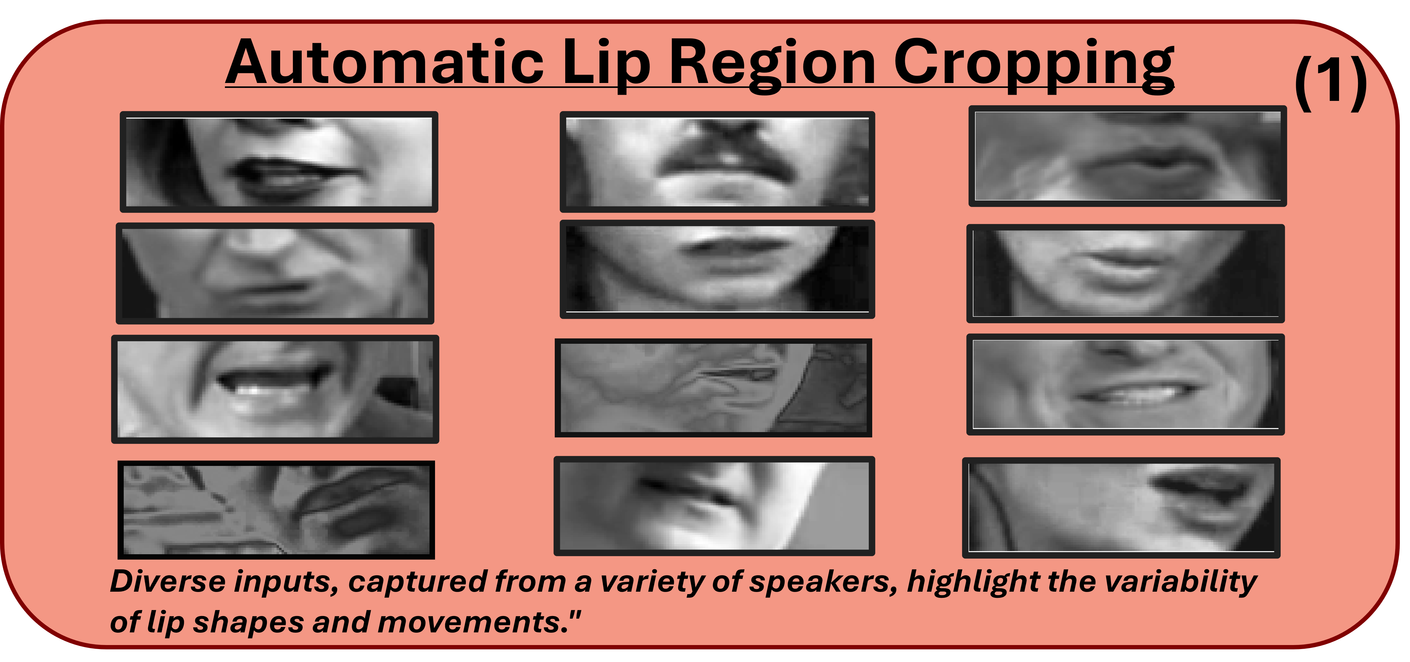 Automatic Lip Region Cropping